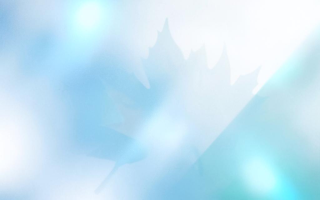 Frosted glass with a maple leaf — the WindyCity Immigration Buddy welcome